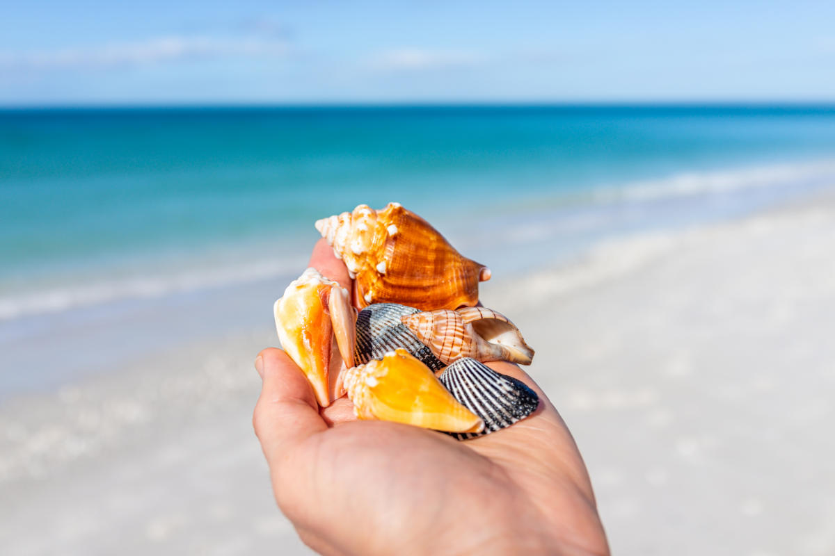 Estero FL real estate