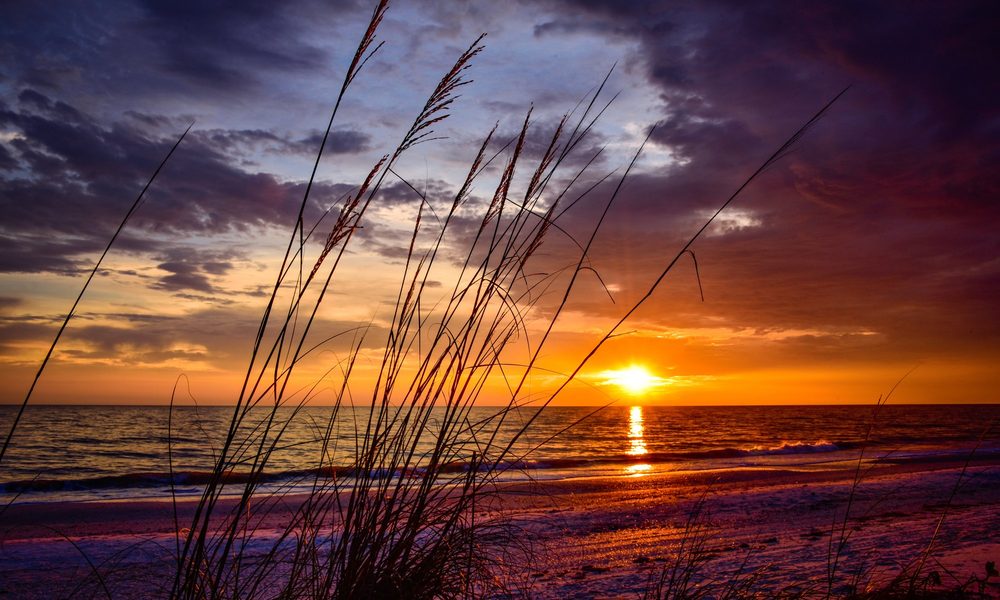Barefoot Beach — community guide photo