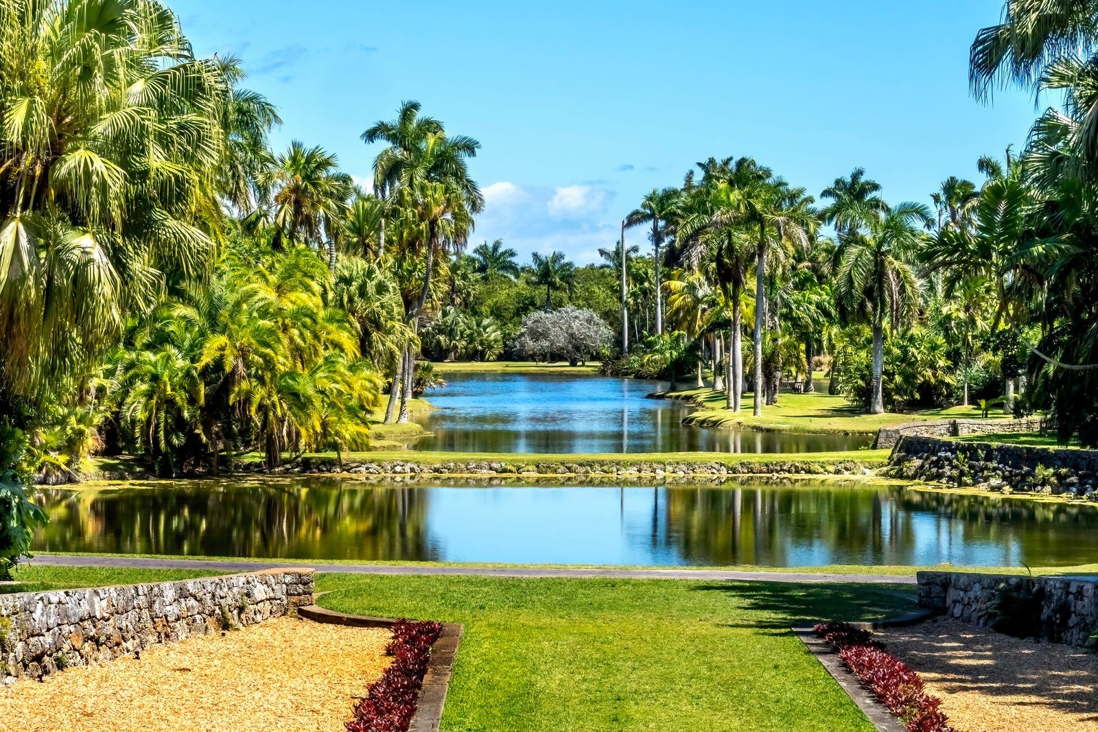 Tropical garden and reflecting pond in Southwest Florida