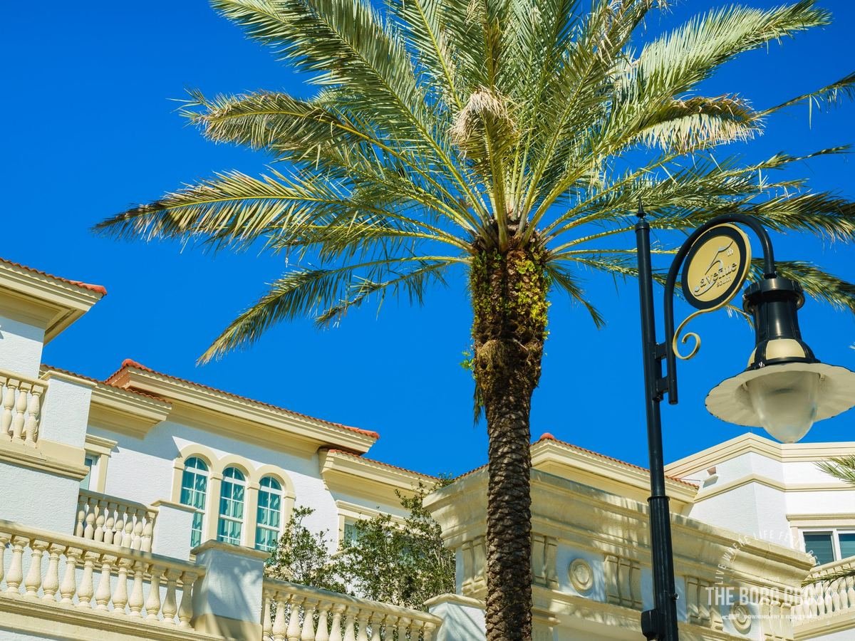 Palm-lined Fifth Avenue South in Naples