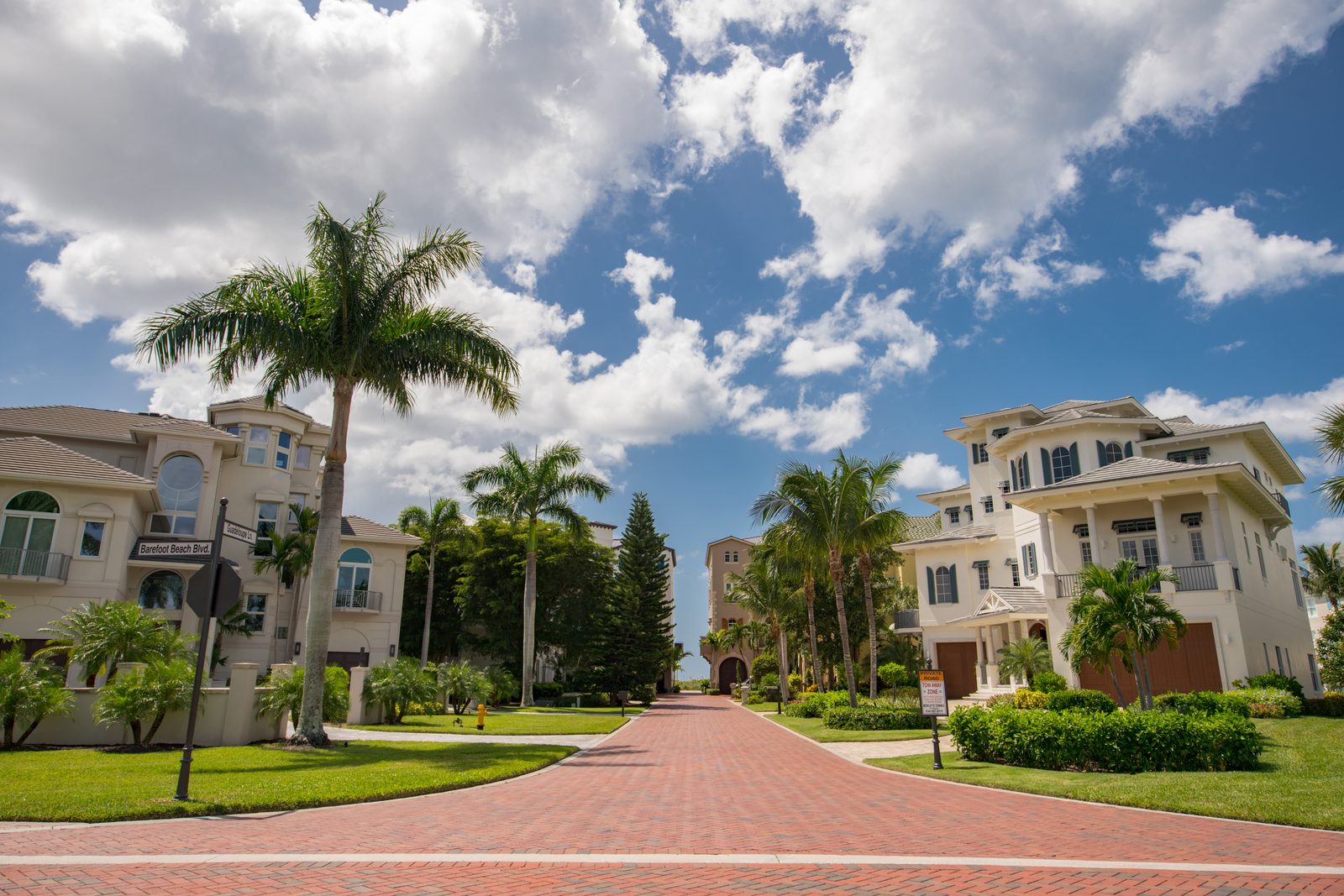 Palm-lined neighborhood street in Southwest Florida